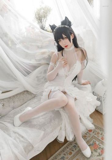 九色视频网_4K在线观看高清