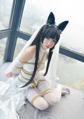 潘春春108tv写真视频_BD国语在线观看高清